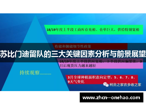 苏比门迪留队的三大关键因素分析与前景展望
