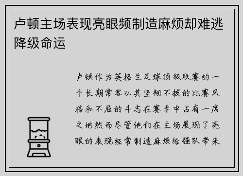 卢顿主场表现亮眼频制造麻烦却难逃降级命运